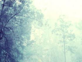 photo33
