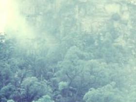 photo40