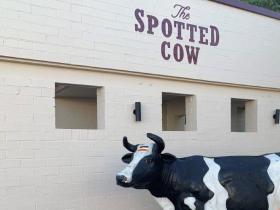 Spotted Cow May 2021 (15)