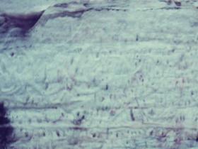 photo44