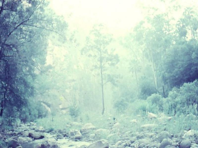 photo33