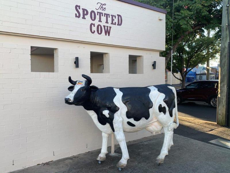 Spotted Cow May 2021 (15)